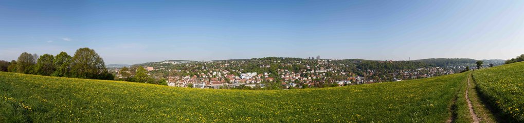 A view of Tübingen.