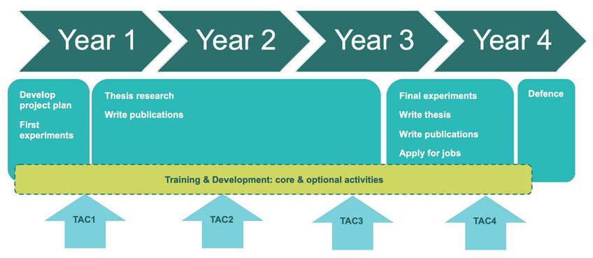 biology education research phd programs